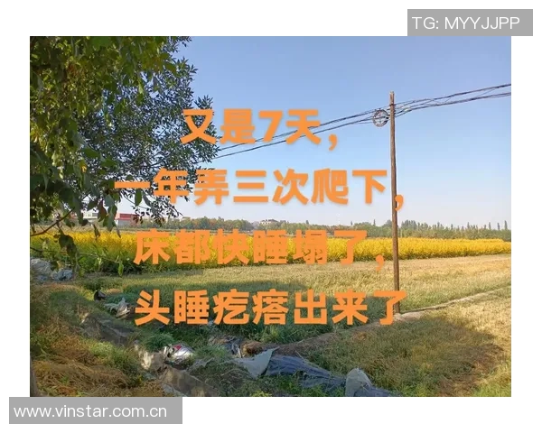 提升身体状态的秘诀华子分享理想睡眠时间每日九到十小时的重要性